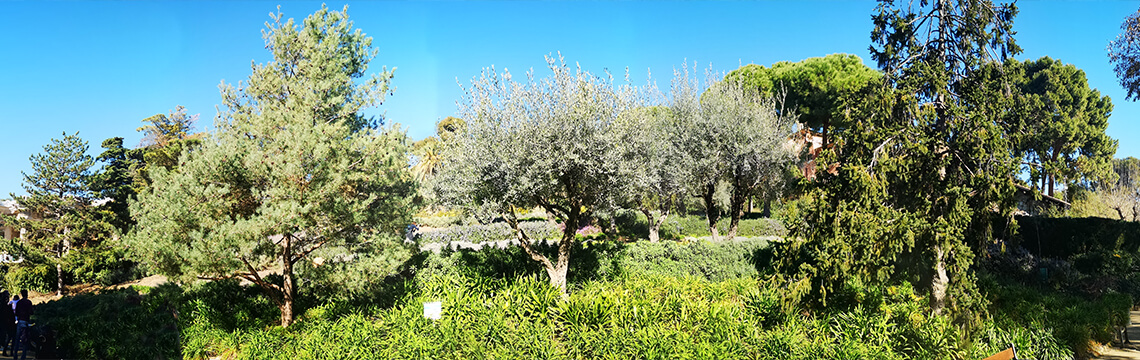 Els Jardins d'Àustria del Park Güell