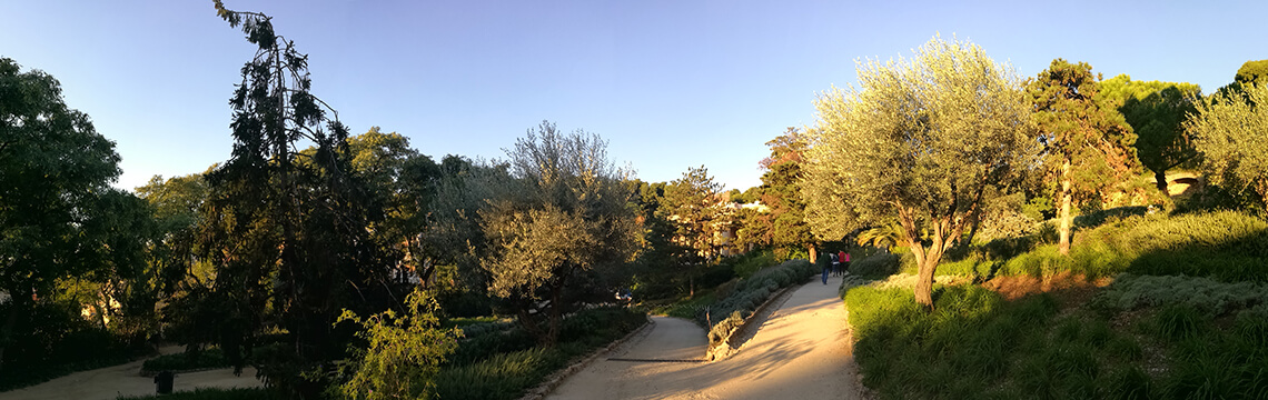 Els Jardins d'Àustria del Park Güell