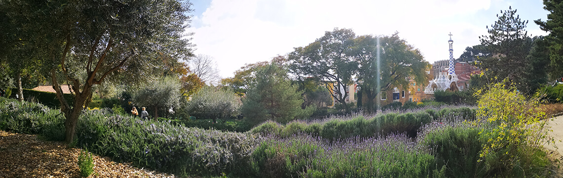 Els Jardins d'Àustria del Park Güell