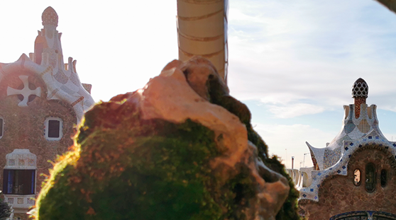 Un Park Güell més sostenible i obert al barri Un Park Güell més sostenible i obert al barri