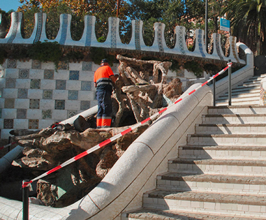 En el Park Güell continuamos trabajando para conservar el patrimonio. En el Park Güell continuamos trabajando para conservar el patrimonio.