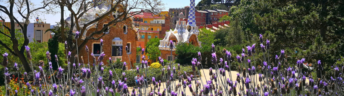 Talleres Primavera Talleres Primavera