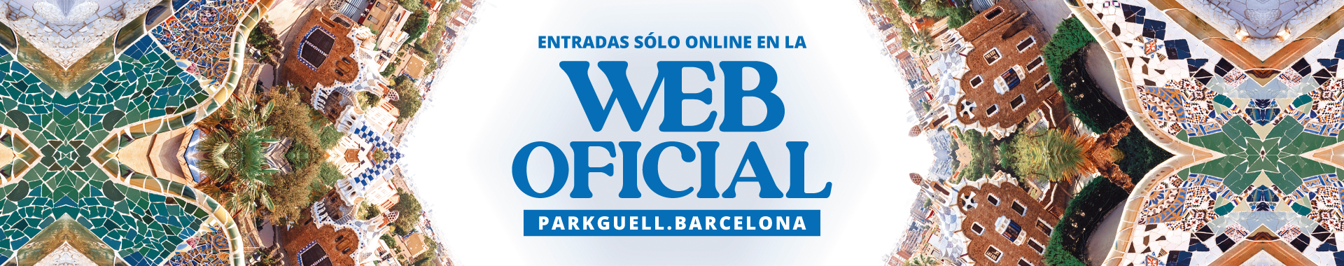 web oficial es