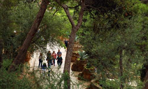 Visita familiar 'Arquitectura i natura al Park Güell'