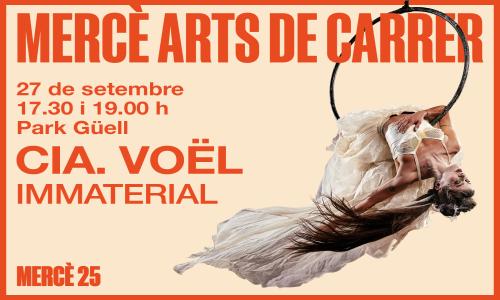 Espectacle de circ "Immaterial de la Cia Voël"