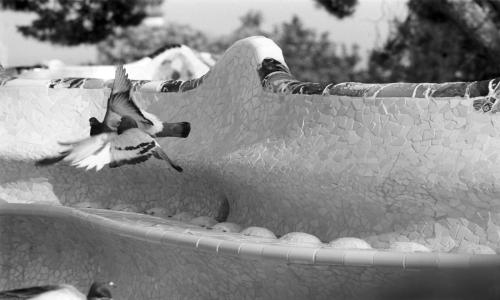 Tallers de memòria i perspectiva ciutadana del Park Güell