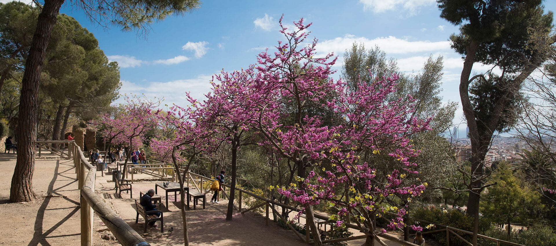 un parque para todos